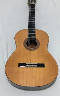 گیتار آلمانی