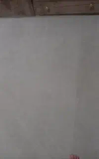 نصابی موکت
