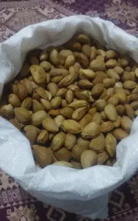 بادام درختی درجه یک