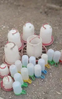 آبخوری و دانخوری مرغ،خروس،جوجه