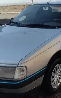 پژو 405 داخل کرم سفارشی