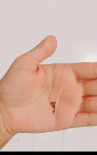 فقط ۵ درصد طلای نو