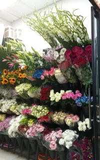 استاد کار گلفروشی نیازمندیم