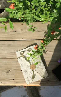 استخدام منشی برای عکاسی
