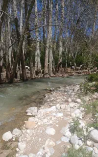 باغشهری سپیدان