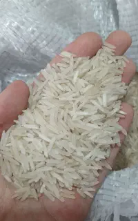 برنج  دوغزال هندی و غزال آبی