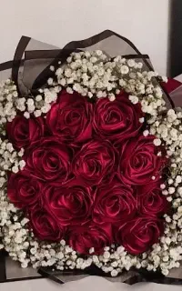 گل روبانی، بوکت پروانه، باکس نوزادی قسطی