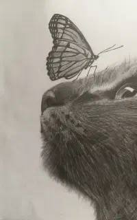 نقاشی پت های خوشگل و ناز شما