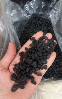 مویز