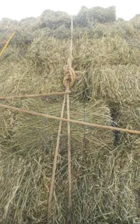 یونجه پرس درجه ۱