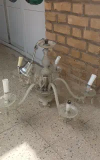 لوسترپنج شاخه قدیمی