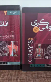 آناتومی گری ۲۰۲۴