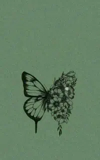 دف مینی بوس فروشی