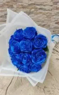 گل روبانی