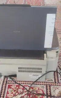 پیرنتر