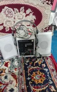 ظبط