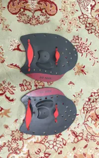 فین دست