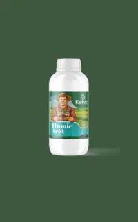 میخوای درختهات پرباربشن