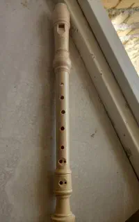فلوت