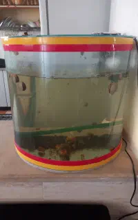 آکواریوم