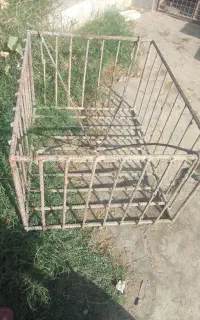 سبد