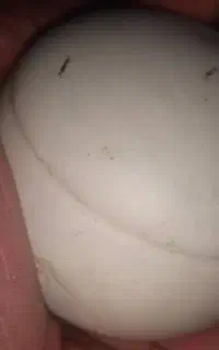 سنگ آسیاب