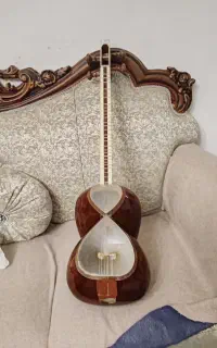 تار حرفه ای