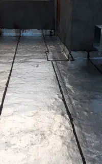 ایزوگام میلاد