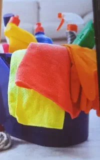 شرکت خدماتی فرشته حسینی
