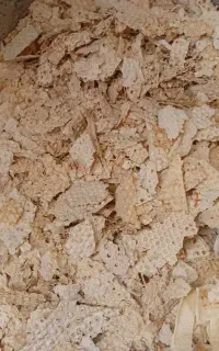 نان خشک