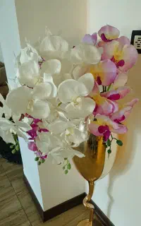 گل ارکیده