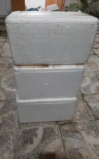 کلمن.یونولیت