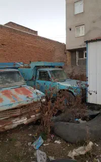 وانت نیسان زامیاد