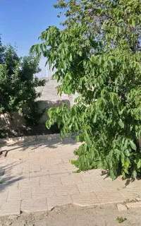 فروش فوری