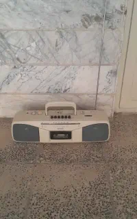 ضبط کاستی