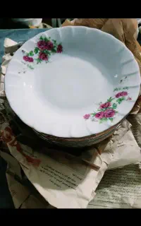 6عددخورشت خوری چینی زرین گُل سرخ