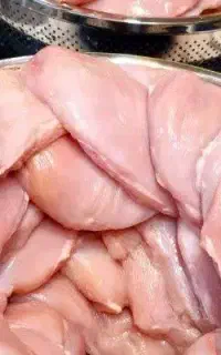 شینسل بوقلمون عمده
