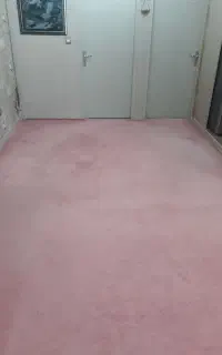 پالاز موکت
