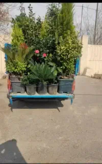 خدمات باغبانی گلکاری تعویض خاک گلدان باغچه