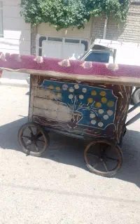 ارابه میوه