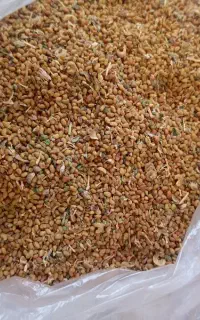 تخم یونجه رنجر امریکایی