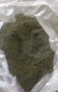سبزی خشک