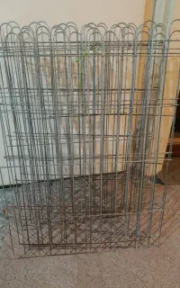 پارک نگهداری سگ