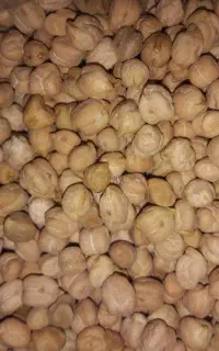 نخود کرمانشاهی
