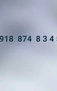 0918874-8-3-4-5