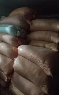 کاه