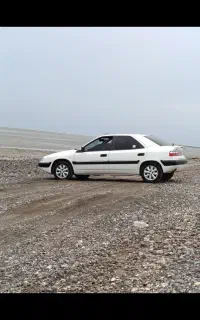 زانتیا ۸۶