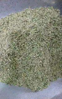برگ گل آویشن
