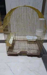 قفس