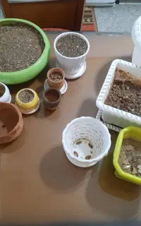فروش گلدان توافقی